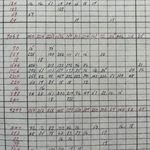 A section of an old IPS survey return